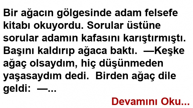 BİR AĞAÇTAN ON DERS!…